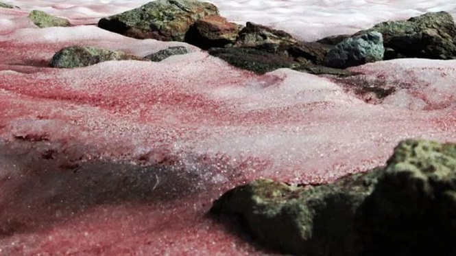 Apareció nieve teñida de rojo y se acelera su derretimiento