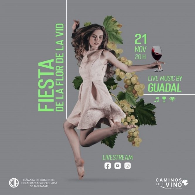 La Fiesta Provincial de la Flor de la Vid inaugura el streaming vendimial