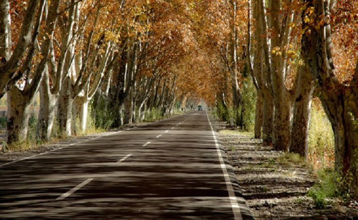 Coronavirus en San Rafael: Hoy se registraron 7 casos positivos