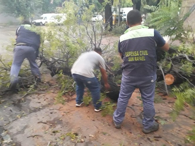 Amplio operativo del municipio en barrios y distritos