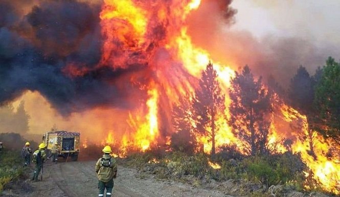 Recompensa para dar con los responsables de los incendios en Chubut